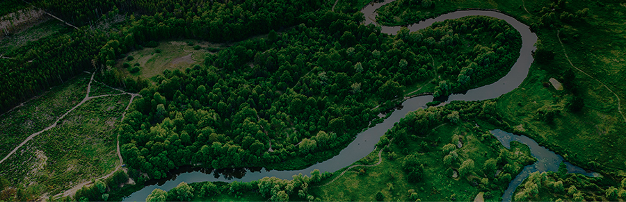 >Profumazioni d’ambiente
